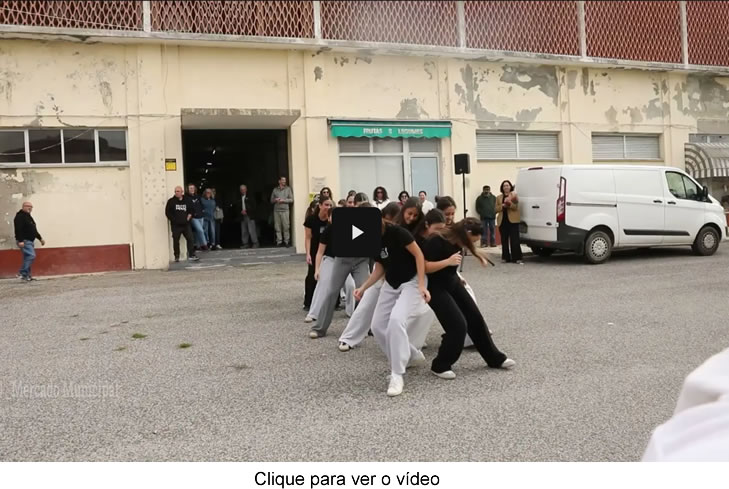 videoenredes